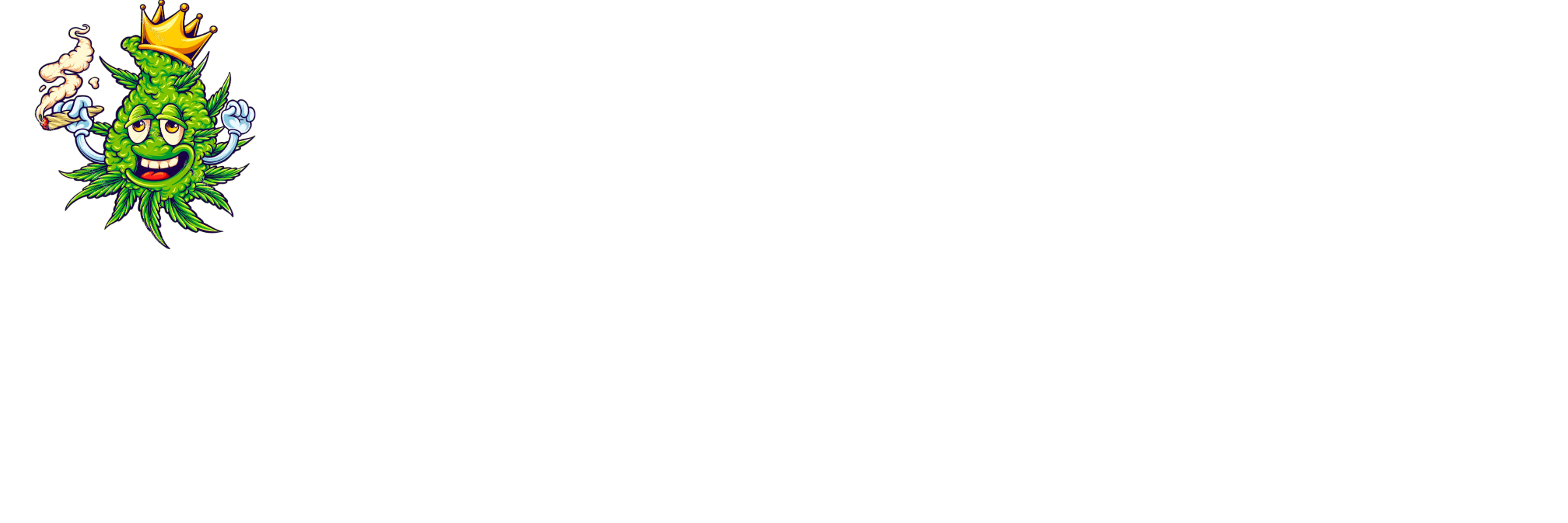 DudaStore24.com